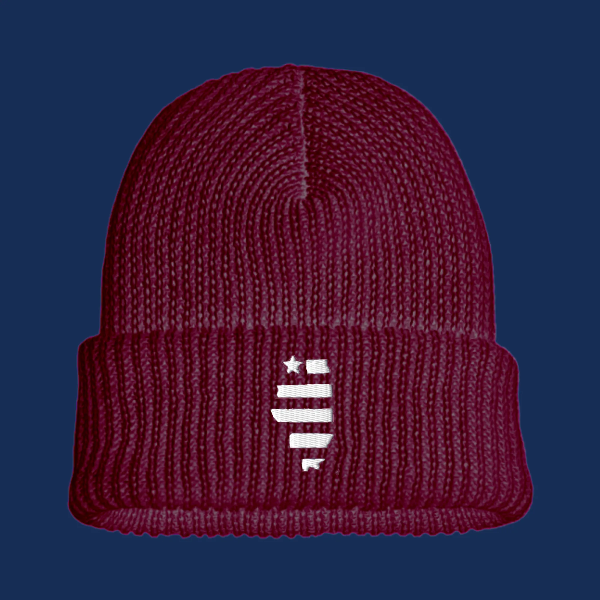 Illinois Beanie