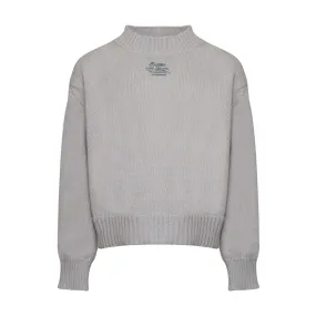 Pegaso Logo Jumper