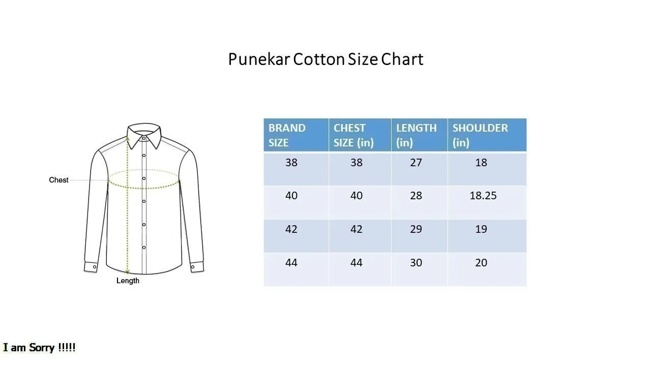 Punekar Cotton Printed Sunrise ( Light Font) Color Pure Cotton Handmade Shirt For Men's.