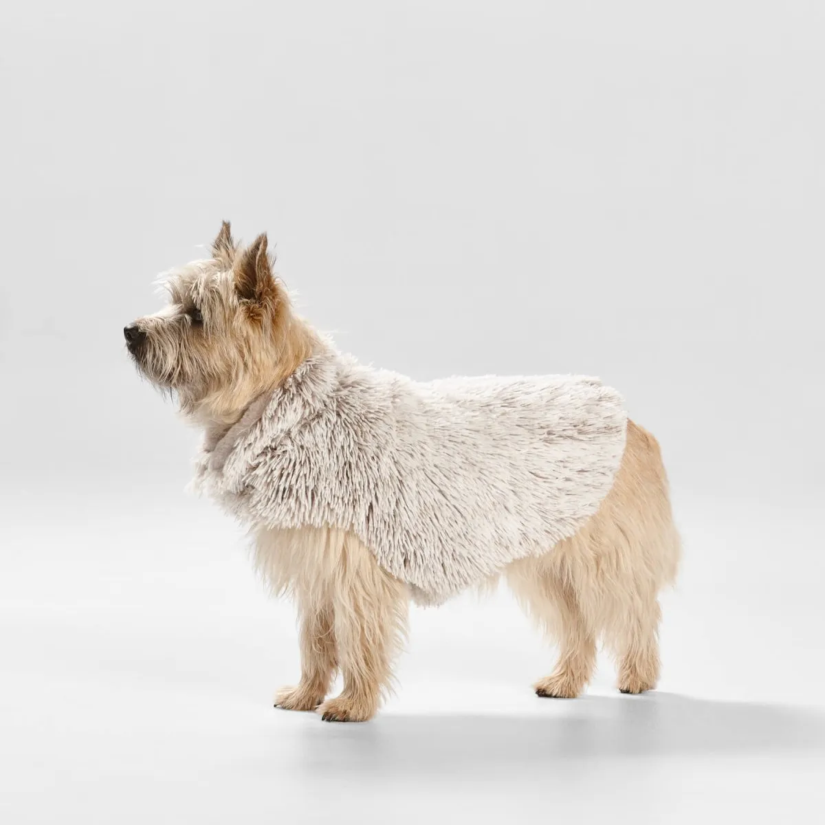 Shag Faux Fur Dog Coat in Mink