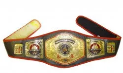 UNIVERSE TITLE BELT - Various Colour Options